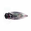 River2Sea Cicada Pop Surface Lure