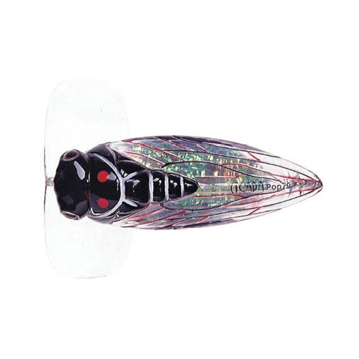 River2Sea Cicada Pop Surface Lure 1 River2Sea Cicada Pop Surface Lure