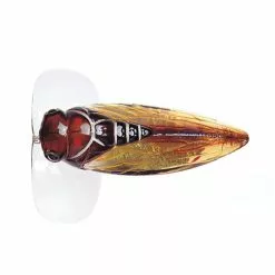 River2Sea Cicada Pop Surface Lure 8 River2Sea Cicada Pop Surface Lure -Fishing Rods Shop Cicada Pop CP55 03 1200x1200 1