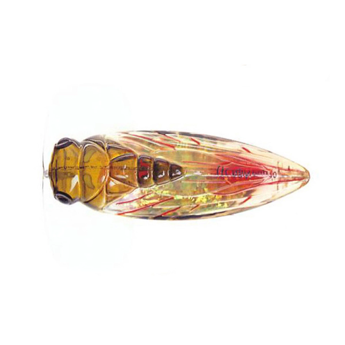River2Sea Cicada Pop Surface Lure 4 River2Sea Cicada Pop Surface Lure - Image 4
