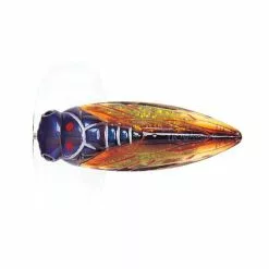 River2Sea Cicada Pop Surface Lure 10 River2Sea Cicada Pop Surface Lure -Fishing Rods Shop Cicada Pop CP55 05 1200x1200 1