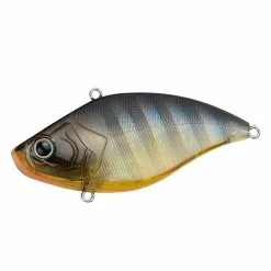 Crazee Vibration -Fishing Rods Shop Crazee Vibration Noike Gill 1200x1200 1