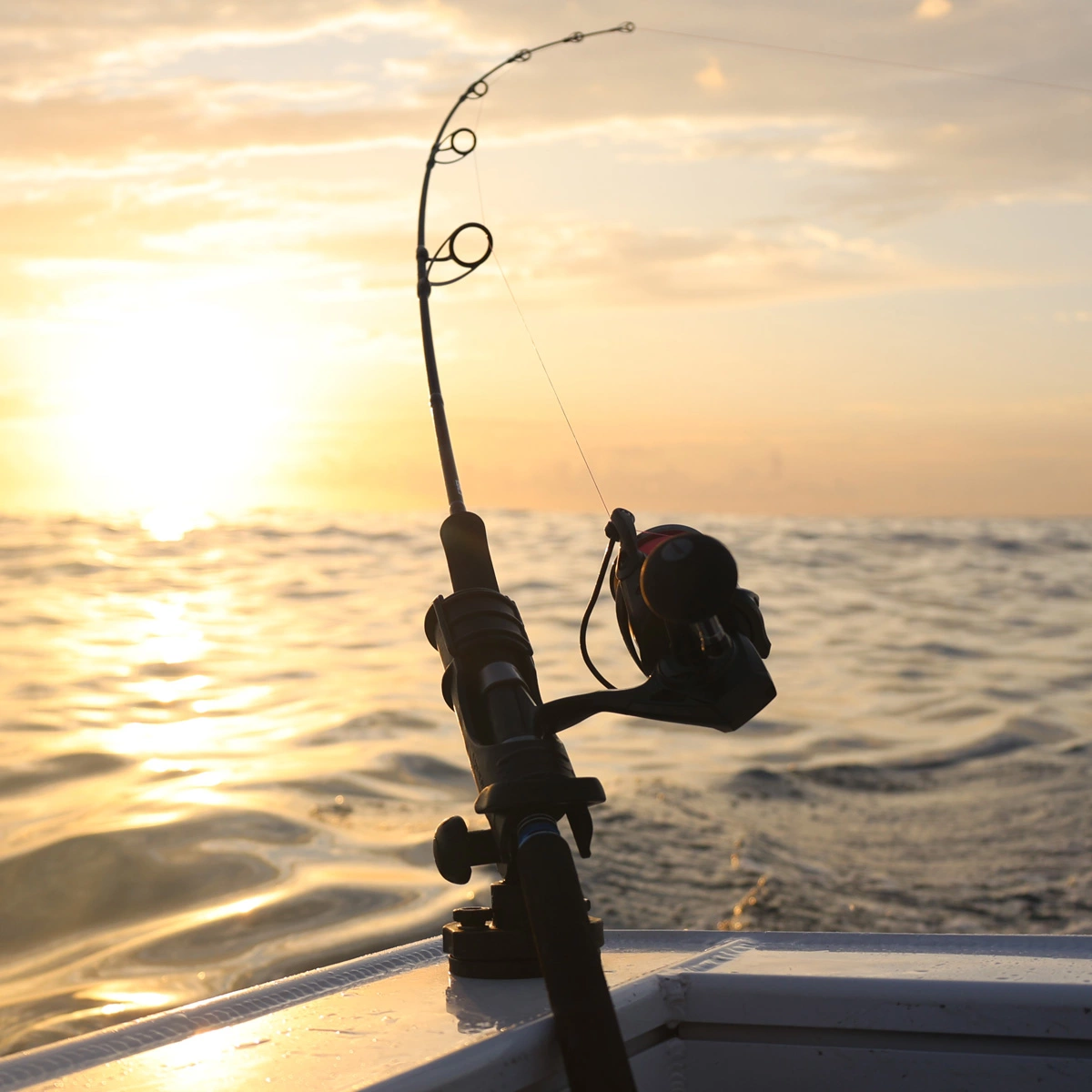 Railblaza HEXX Rod Holder 3 Railblaza HEXX Rod Holder - Image 3