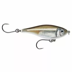 Rapala X-Rap Twitchin’ Mullet Sinking Stickbait Fishing Lure 8 Rapala X-Rap Twitchin’ Mullet Sinking Stickbait Fishing Lure -Fishing Rods Shop Rapala X Rap Twitchin Mullet FL Mangrove Minnow 800x800 1