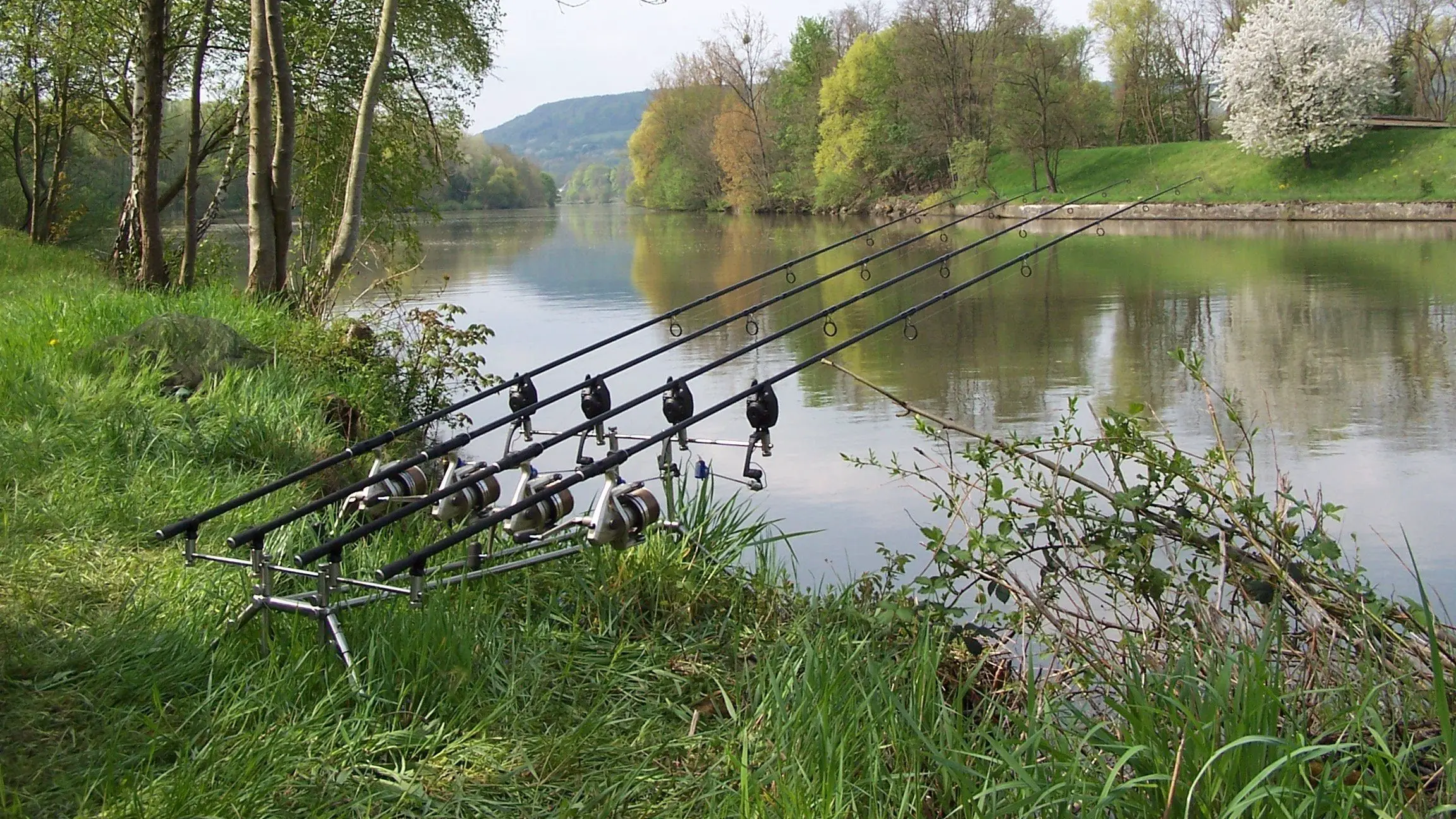 Fishing Rods Shop 33 Fishing Rods Shop -Fishing Rods Shop 10